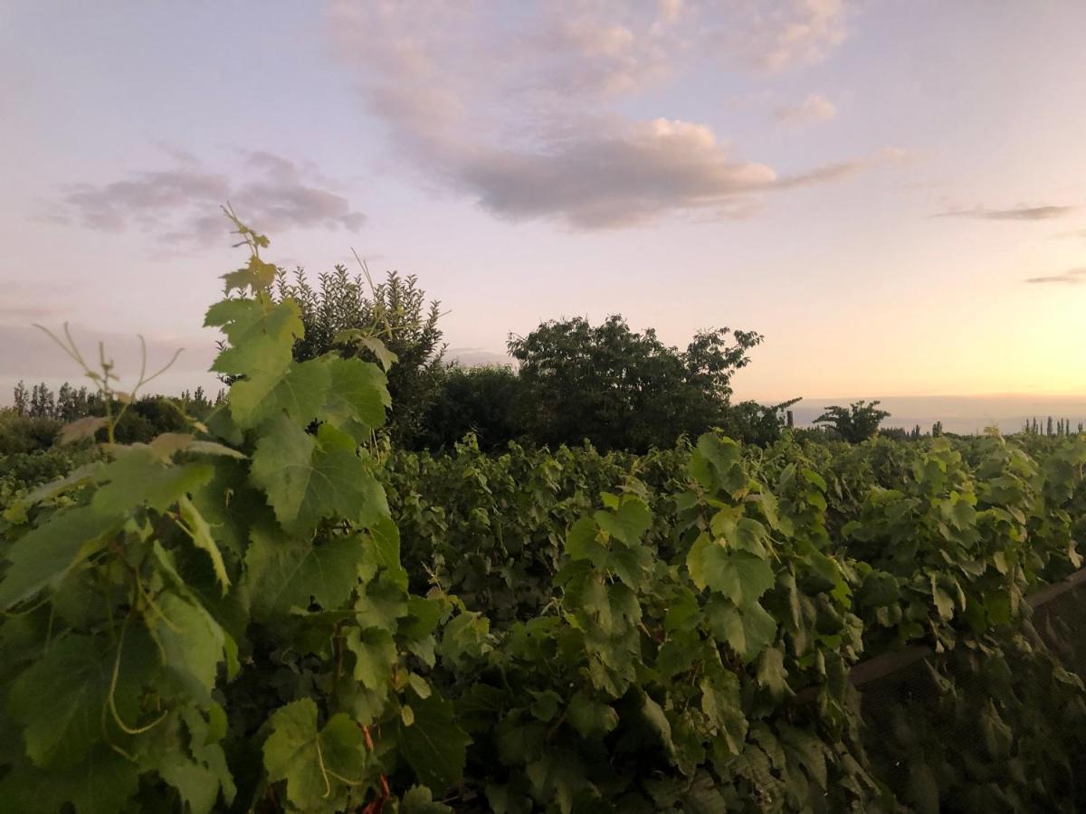루한데쿠요 Entre Vinedos 아파트 외부 사진